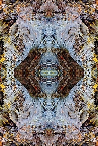 Abstract pattern in driftwood-Bandon Beach-Oregon Beach Print